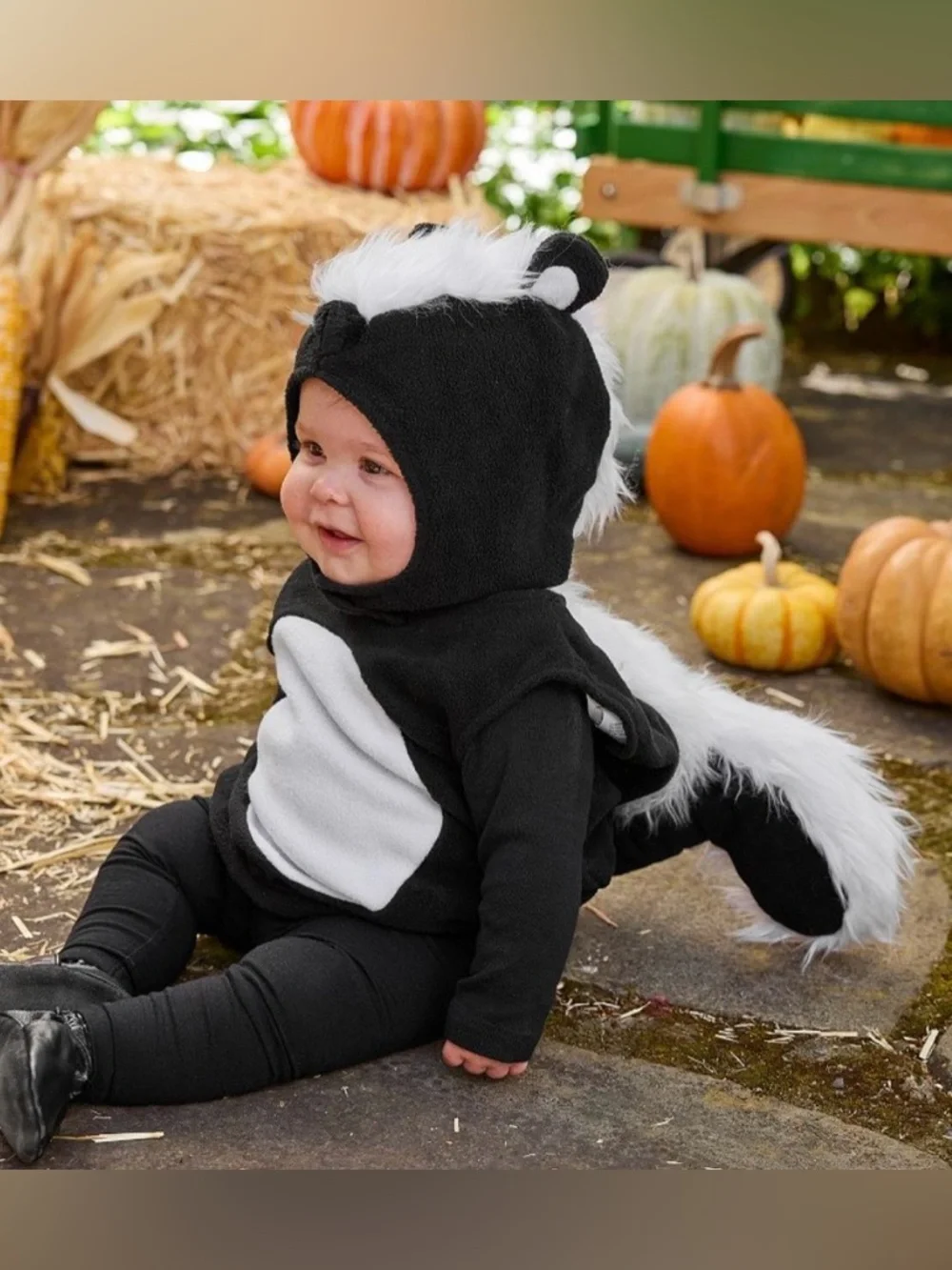 Pottery Barn Kids Skunk Costume - Picture 6 of 12